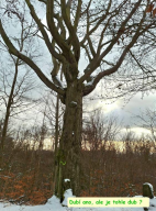 Výlet Dubí leden 2025