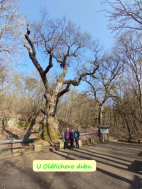 Výlet Savětín , březen 2026.