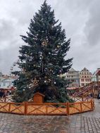 10.12.2024- Plzeň, ZPČ muzeum , adventní trhy