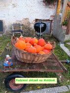 Výlet Moldava říjen 2024