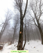 Výlet Dubí - Košťany leden 2025