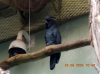 20.5.2025- Výlet Praha- ZOO, botanická 
