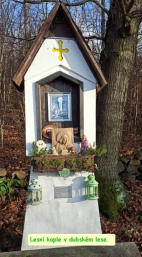 Předvánoční výlet Dubí 2024