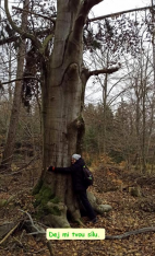 Předvánoční výlet Dubí 2024