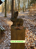 Výlet Dubí listopad 2025.