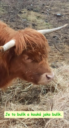 Výlet Štěrbina 25.1.2025.