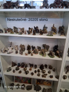 25.2.2025-Muzeum Karlovy Vary, Bochov muzeum slonů