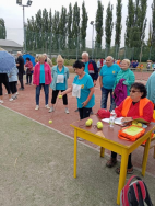 Činnost 2024