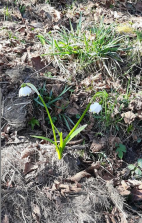 Výlet Zubrnice 28.3.2026.