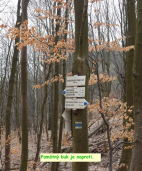 Výlet Dlouhá Louka - Rýzmburk březen 2025