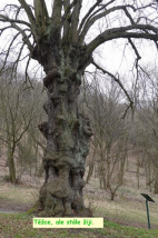 Výlet Dlouhá Louka - Rýzmburk březen 2025