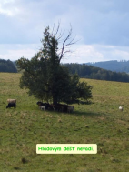 Výlet Lobendava září 2024